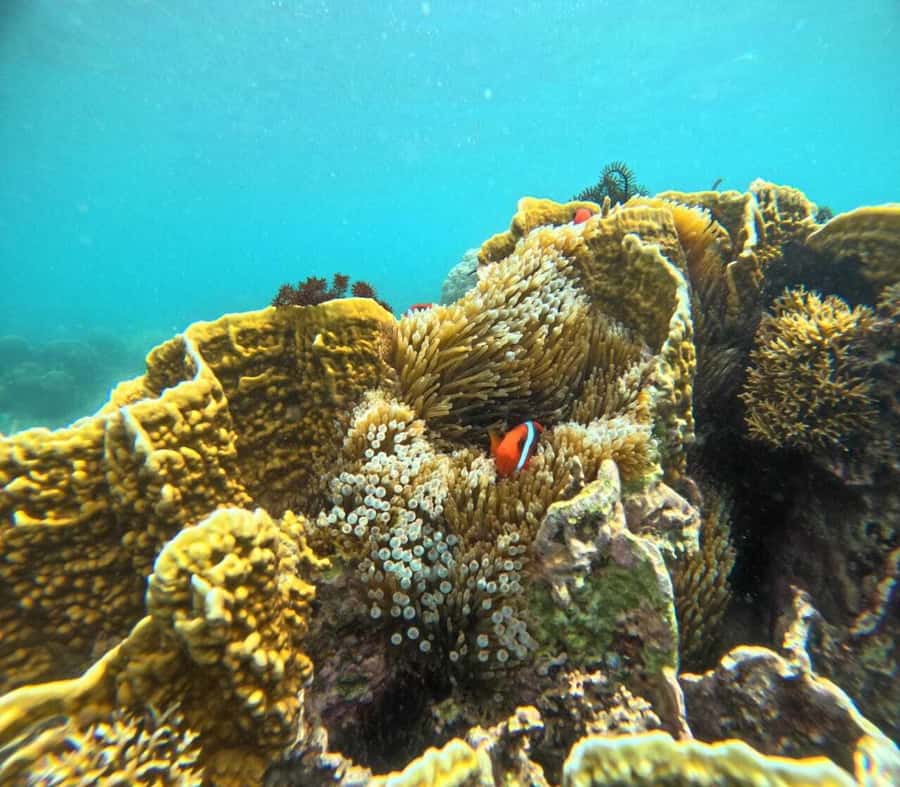 Lombok: Gili Rengit, Gili Gede, and Gili Layar Island Tour - Why the Gili Rengit, Gili Gede, and Gili Layar combo works