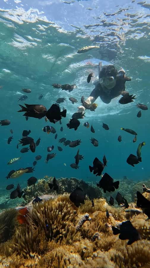 Lombok: Gili Rengit, Gili Gede, and Gili Layar Island Tour - Price and value: what your $66 per person actually buys