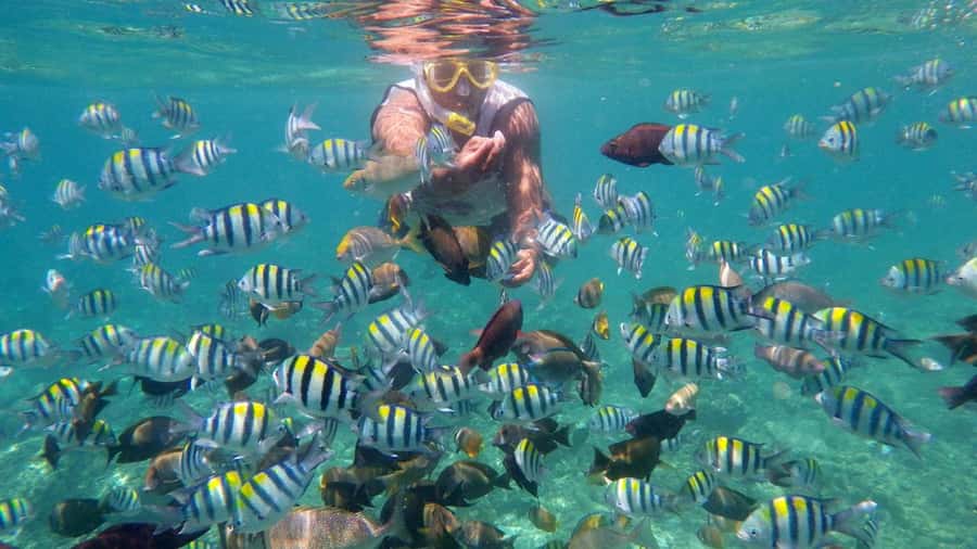 Lombok: Gili Trawangan, Meno, Air Snorkeling Trip - From your hotel to Teluk Nare: the simple start that matters