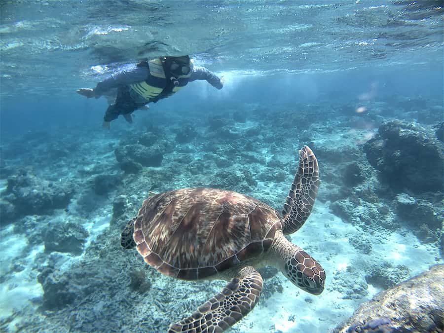 Lombok: Gili Trawangan, Meno, Air Snorkeling Trip - Gili Meno: the middle stop that usually feels calm