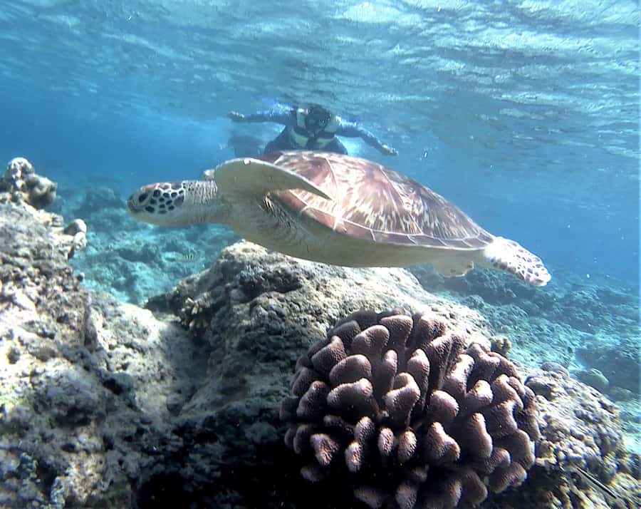 Lombok: Gili Trawangan, Meno, Air Snorkeling Trip - Malimbu Hill photo stop with Mt Agung in the frame
