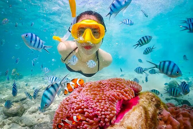 Lombok Pink Beach Boat Trip (Full Day + Snorkeling) - Pantai Pink (Tangsi Beach): setting the right expectations for pink sand