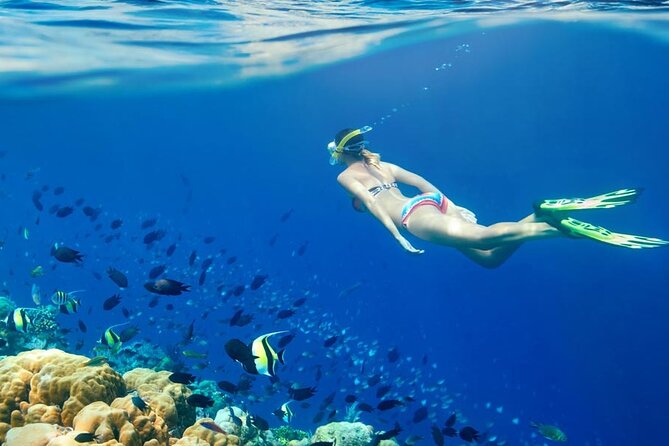 Lombok Pink Beach Boat Trip (Full Day + Snorkeling) - Segui Beach: a quieter ending to the beach run
