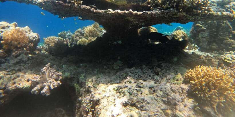 Lombok Pink Beach Boat Trip : Snorkeling & Relaxing - Price and value: what $95 really includes on a 10-hour private day