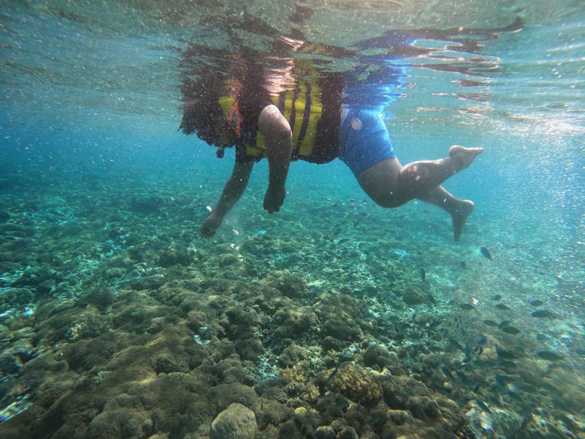 Lombok Pink Beach Boat Trip : Snorkeling & Relaxing - Segui Beach and Pink Beach 2: calm water, calmer beach time