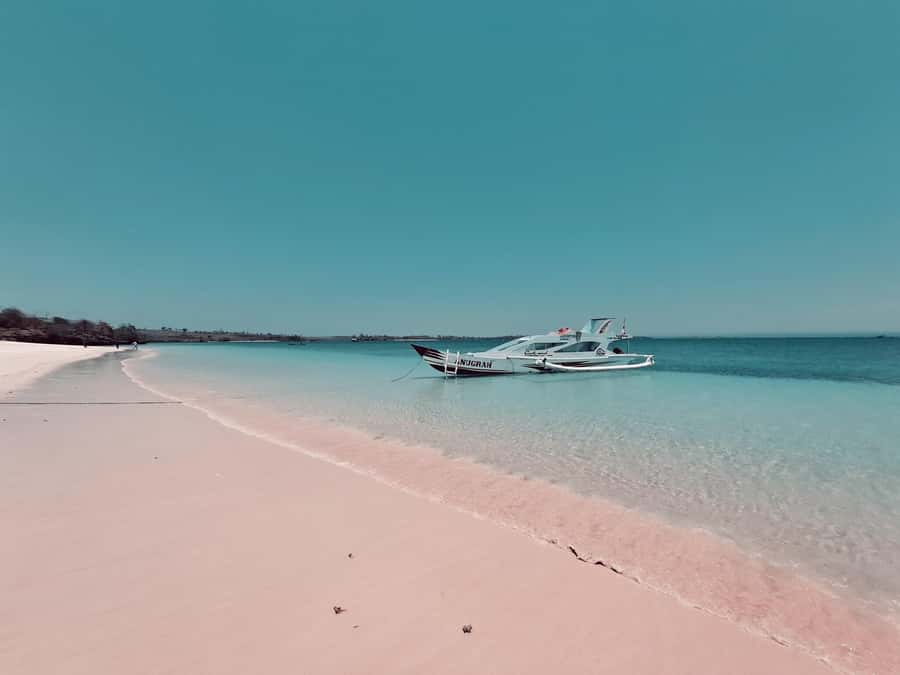 Lombok: Pink Beach, Snorkeling, & Tanjung Ringgit Tour - Gili Petelu Snorkeling: Where the Fish Come to You