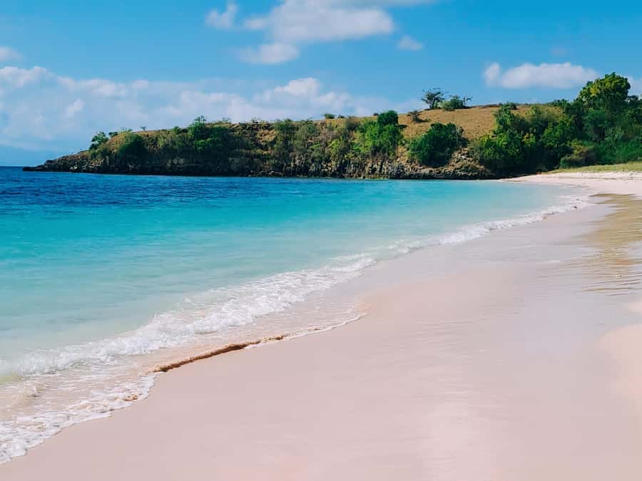 Lombok: Pink Beach, Snorkeling, & Tanjung Ringgit Tour - Pink Beach 1 (Tangsi Beach): Lunch Break Energy Reset