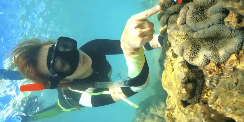 Lombok:Privat Snorkeling Gili Nanggu,Gili Sudak,Gili Kedis. - Who should book this Lombok private snorkeling day, and who should skip it