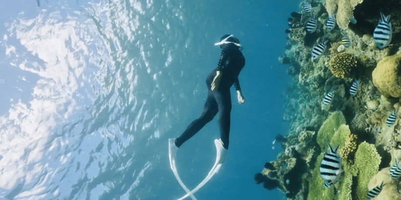 Lombok:Privat Snorkeling Gili Nanggu,Gili Sudak,Gili Kedis. - Why Gili Nanggu, Sudak, and Kedis make a great 10-hour plan