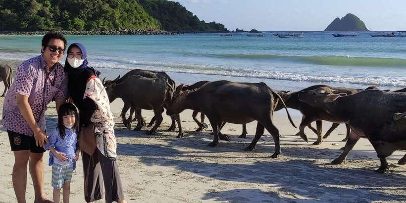 Lombok Private Car with Driver - Meeting the Driver: English, Humor, and Photo Help