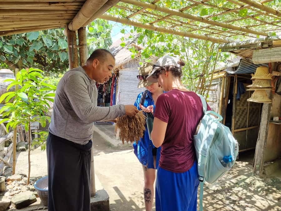 Lombok: Private Customizable Tour with Driver-Guide - Key Points Before You Go