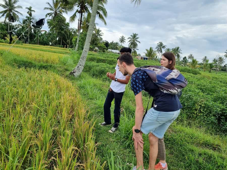 Lombok: Private Customizable Tour with Driver-Guide - Turning Lombok Transport into Real Freedom