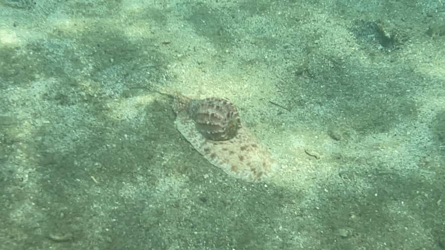 Lombok: Private day trip snorkeling in Secret Island - What to bring (and the small details that prevent a rough day)