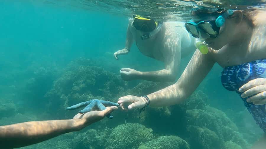 Lombok: Private day trip snorkeling in Secret Island - Back to Gili Layar: lunch, relaxing, and a walk