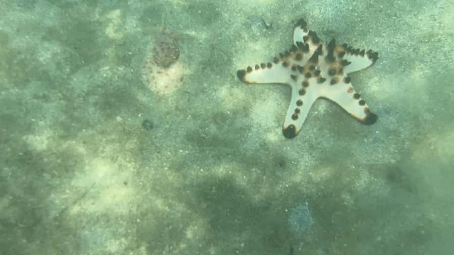 Lombok: Private day trip snorkeling in Secret Island - Gear, guide, and how the trip stays fun (not chaotic)