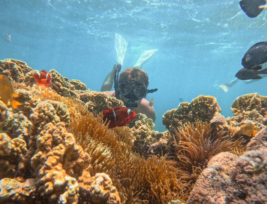 Lombok: Private Pink Beach & Gili Snorkeling Tour with GoPro - Private Boat Route from Tanjung Luar, What the Day Feels Like