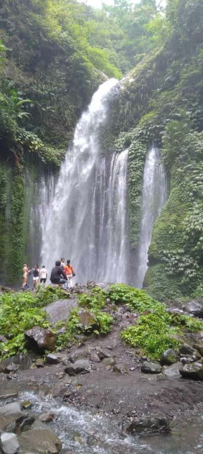 Lombok : Sendang Gile and Tiu Kelep Waterfall Tour - Who this Lombok tour suits best