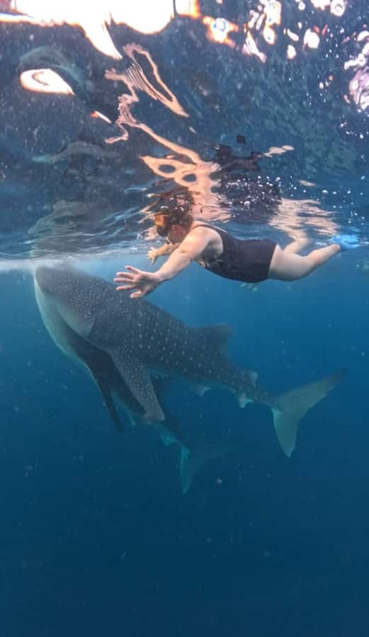 Lombok : Sharing Whale Shark Tour 2 Day 1 Night Sumbawa - Overnight in Sumbawa: what the hotel stop is really for