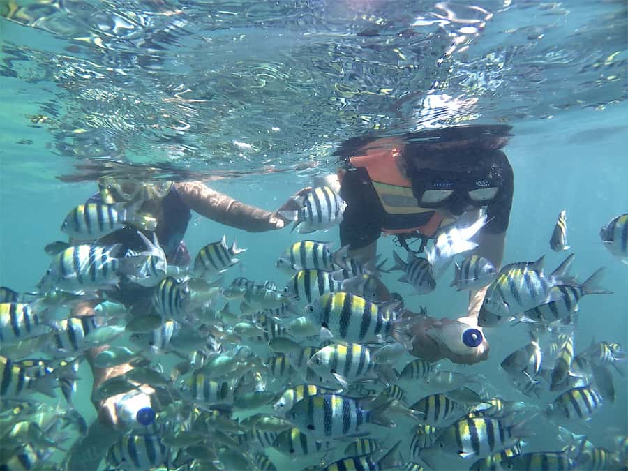 Lombok: Snorkeling Trip Gili Nanggu, Sudak & Kedis - Private Boat Island Hopping, Why It Feels Easier