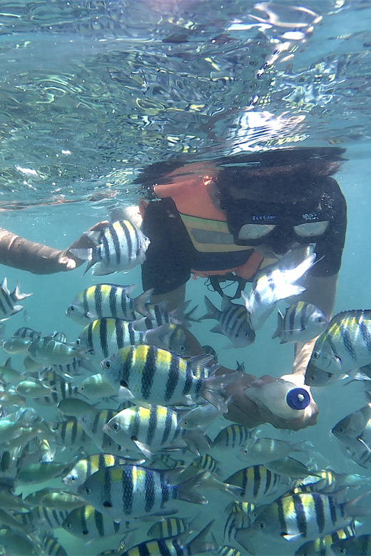 Lombok: Snorkeling Trip Gili Nanggu, Sudak & Kedis - Price and Value: Is It Worth $53 for 9 Hours?