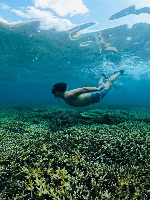 Lombok:Snorkeling trip to Gili Nanggu,Gili Sudak, Gili Kedis - Key Takeaways Before You Go
