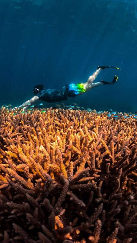 Lombok:Snorkeling trip to Gili Nanggu,Gili Sudak, Gili Kedis - Boat Rides, Snorkel Gear, And The Real Seasickness Check