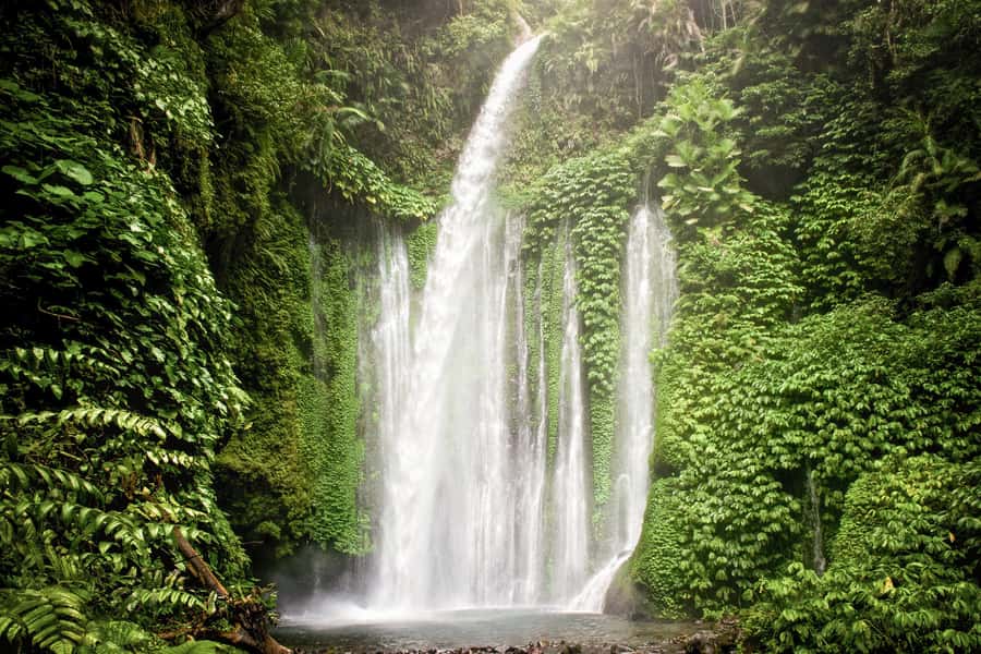 Lombok Spectacular: Waterfalls, Selong Hill & Pusuk Sembalun - The Tiu Kelep trek and your real chance to swim