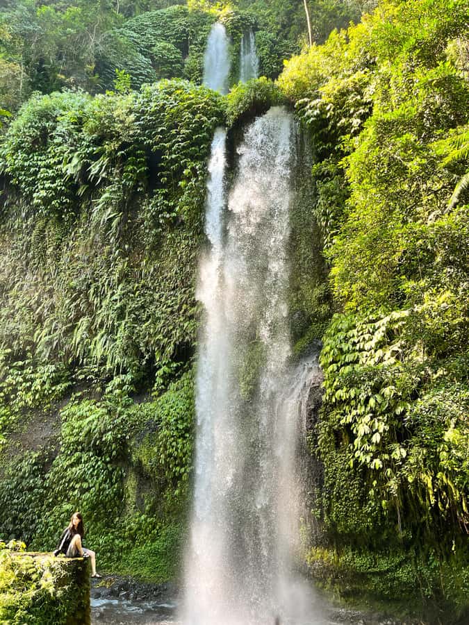 Lombok Spectacular: Waterfalls, Selong Hill & Pusuk Sembalun - Selong Hill (Bukit Selong Sembalun): terraced views and cool breezes