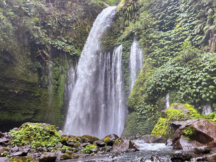 Lombok Spectacular: Waterfalls, Selong Hill & Pusuk Sembalun - The guides that quietly make or break your day