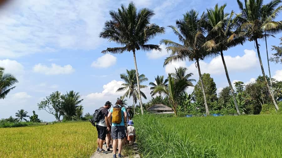Lombok: Tetebatu Village and Rice Fields Guided Tour - Key things that make this Lombok day trip worth it