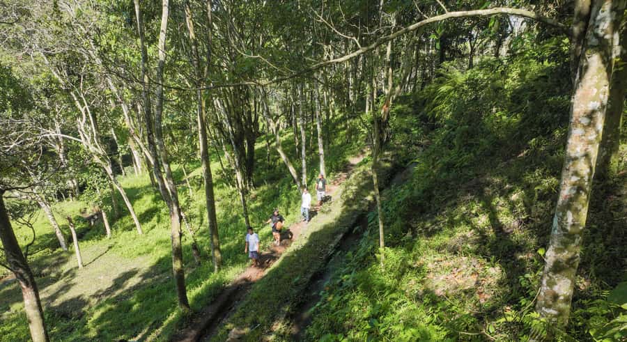 Lombok: Tetebatu Walk, Waterfall, Monkey Forest & Cooking - Getting There and Finding Your Guide at Warung Monkey Forest