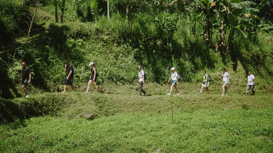 Lombok: Tetebatu Walk, Waterfall, Monkey Forest & Cooking - Tetebatu Monkey Forest: Black Monkeys, Shade, and Respect Rules