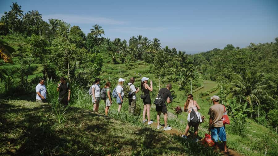 Lombok: Tetebatu Walk, Waterfall, Monkey Forest & Cooking - Price, Time, and Group Size: Does $31 Feel Fair?