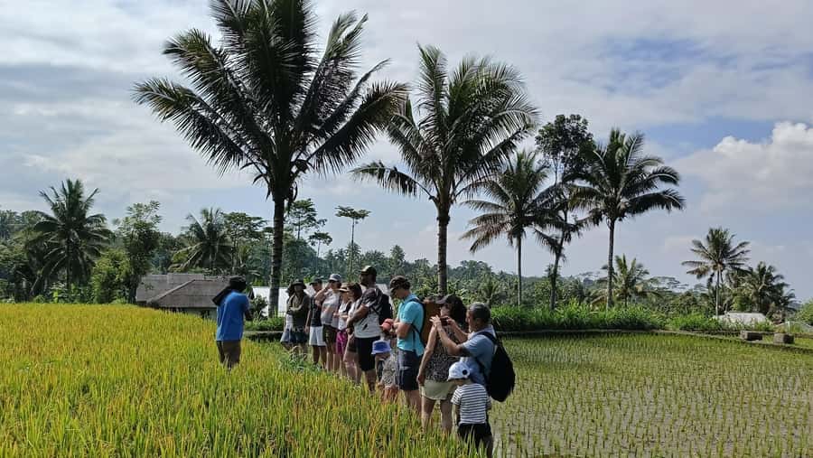 Lombok: Tetebatu Walking Tour with Monkey Forest & Waterfall - Sasak village visit: real daily life, not just a staged stop