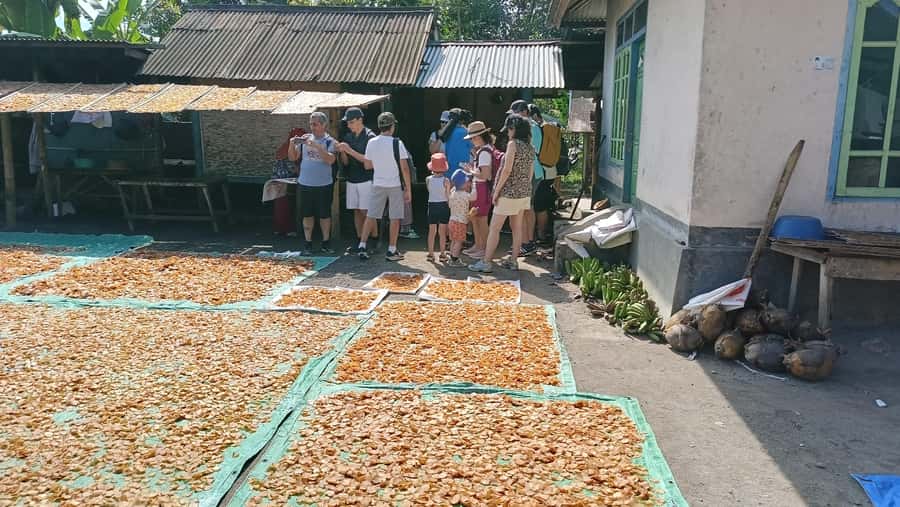 Lombok: Tetebatu Walking Tour with Monkey Forest & Waterfall - Price and value: why $48 can make sense here