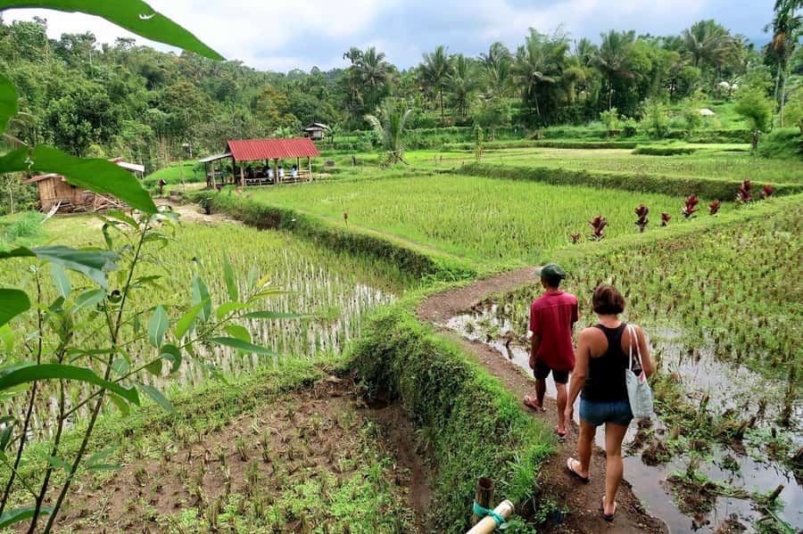 Lombok: Tetebatu Walking Tour with Monkey Forest & Waterfall - How long is the day, and how the time gets used