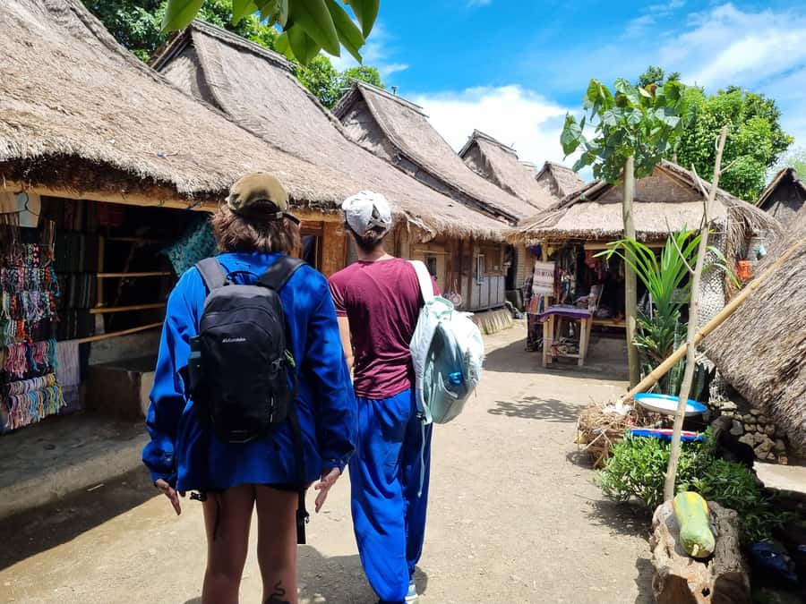 Lombok: Waterfall and Traditional Village Private Tour - Weather, walking, and who should skip this day
