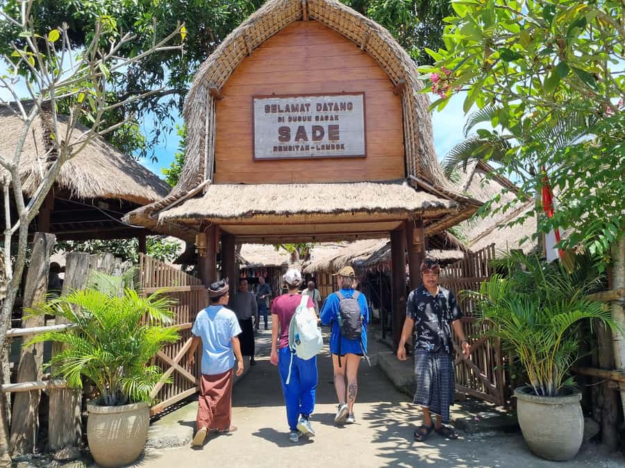 Lombok: Waterfall and Traditional Village Private Tour - Small on-road moments: ask for what you care about