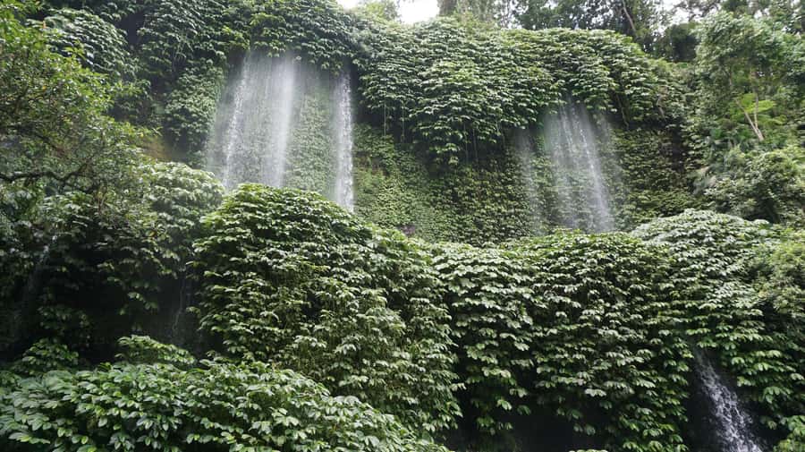 Lombok: Waterfall Benang Kelambu & River Rafting Trip - Price and Value: What You Pay for at $71 Per Person