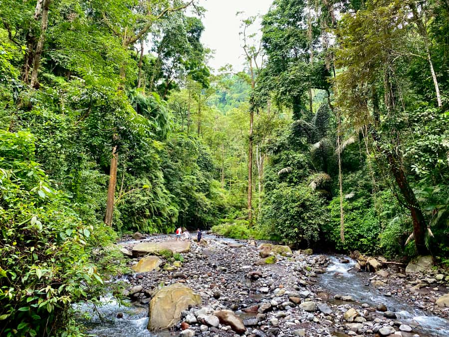 Lombok Waterfall Tour and Panorama Walk - What to bring and what to expect on the ground