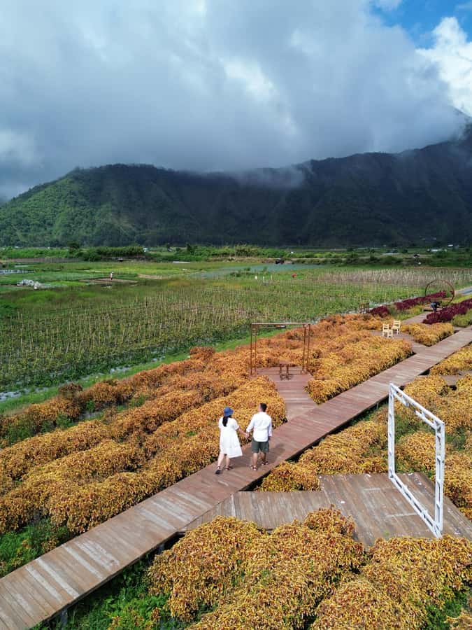 Lombok Waterfalls & Mountain Views Full-Day Tour - Tiu Kelep’s Giant Curtain: The Swim Stop That Makes the Trek Pay Off
