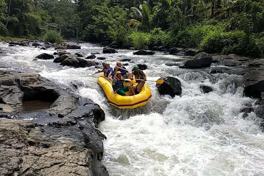 Lombok: White Water Rafting, Rice Terrace & Waterfall Tour - Key Highlights That Matter