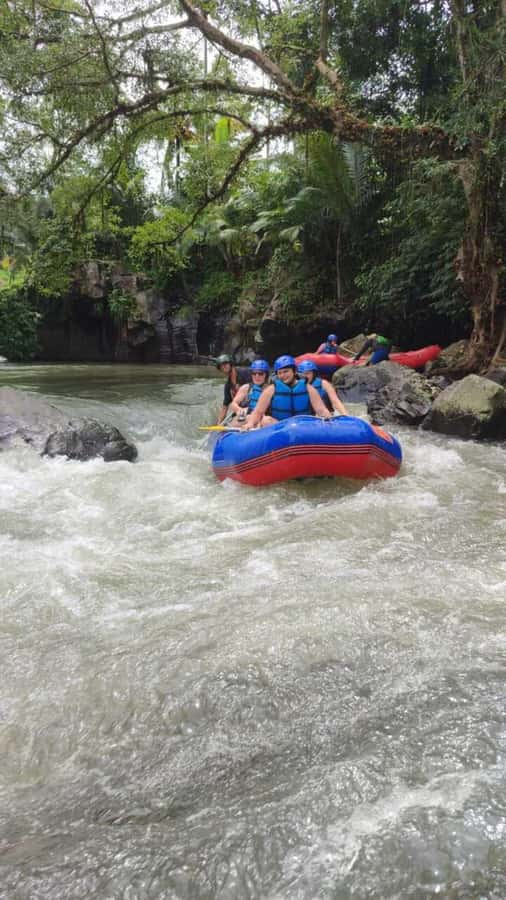 Lombok: White Water Rafting, Rice Terrace & Waterfall Tour - Safety and Fit: Who Should Book, and Who Should Skip