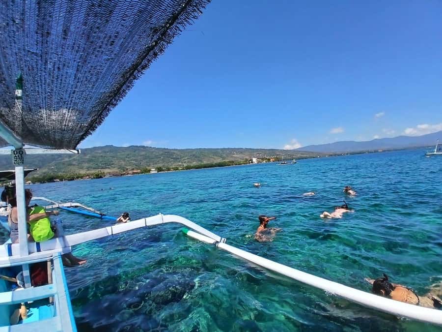 Lovina/BALI : SPECIAL Dolphin Watching,Swimming,Snorkeling - Key Things That Make This Dolphin + Snorkel Tour Worth Your Time