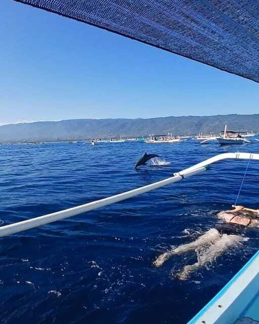 Lovina/BALI : SPECIAL Dolphin Watching,Swimming,Snorkeling - Boat Comfort, Coffee and Cakes, and the Extras That Actually Help