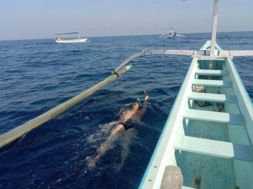 Lovina/BALI : SPECIAL Dolphin Watching,Swimming,Snorkeling - Price and Value at About $24 Per Person