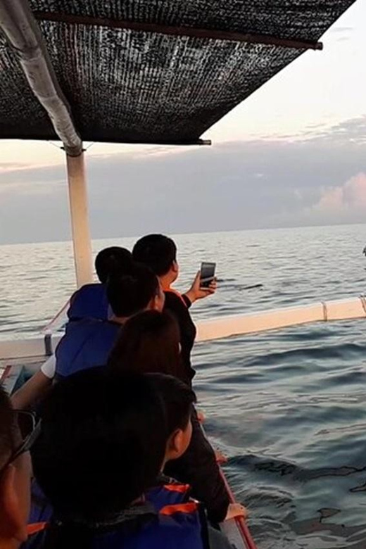 Lovina Dolphin Watching + Swimming with dolphin Private tour - Key Things I’d Watch For on This Lovina Dolphin Tour