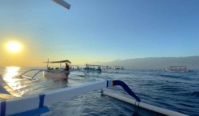 Lovina Dolphin Watching + Swimming with dolphin Private tour - What You’re Really Buying: Sunrise, Wild Dolphins, and Water Time