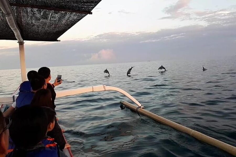 Lovina Dolphin Watching + Swimming with dolphin Private tour - Boat Ride With a Captain: Comfort, Safety, and What It Means for You