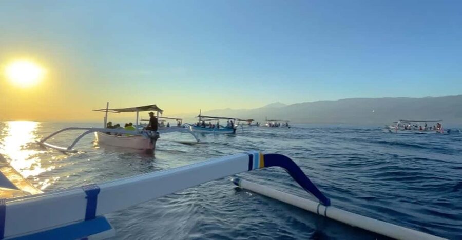 Lovina Dolphin Watching + Swimming with dolphin Private tour - Watching Wild Dolphins at Sunrise: The Best Part, and How to Enjoy It